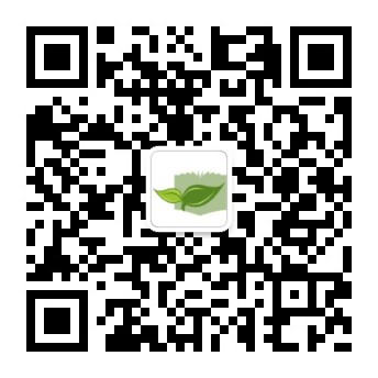 254CF25C3218D4A38D32C171C7C_CFC3787A_6018