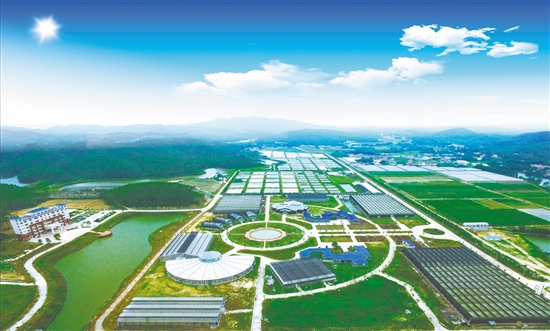 2B25FA15F5C900601C362CBEE08_B226B2ED_2A853