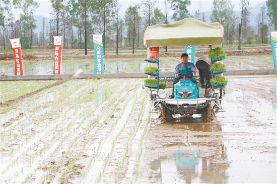 2300AAA9C0A1CD91AF4A480213C_8938862B_35976.jpg?e=