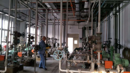 D07BDB4F77EBED055031023D534_6742EF3B_25307 25307