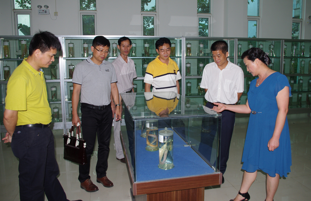 Ҽ������app����(�й�)�ٷ�������