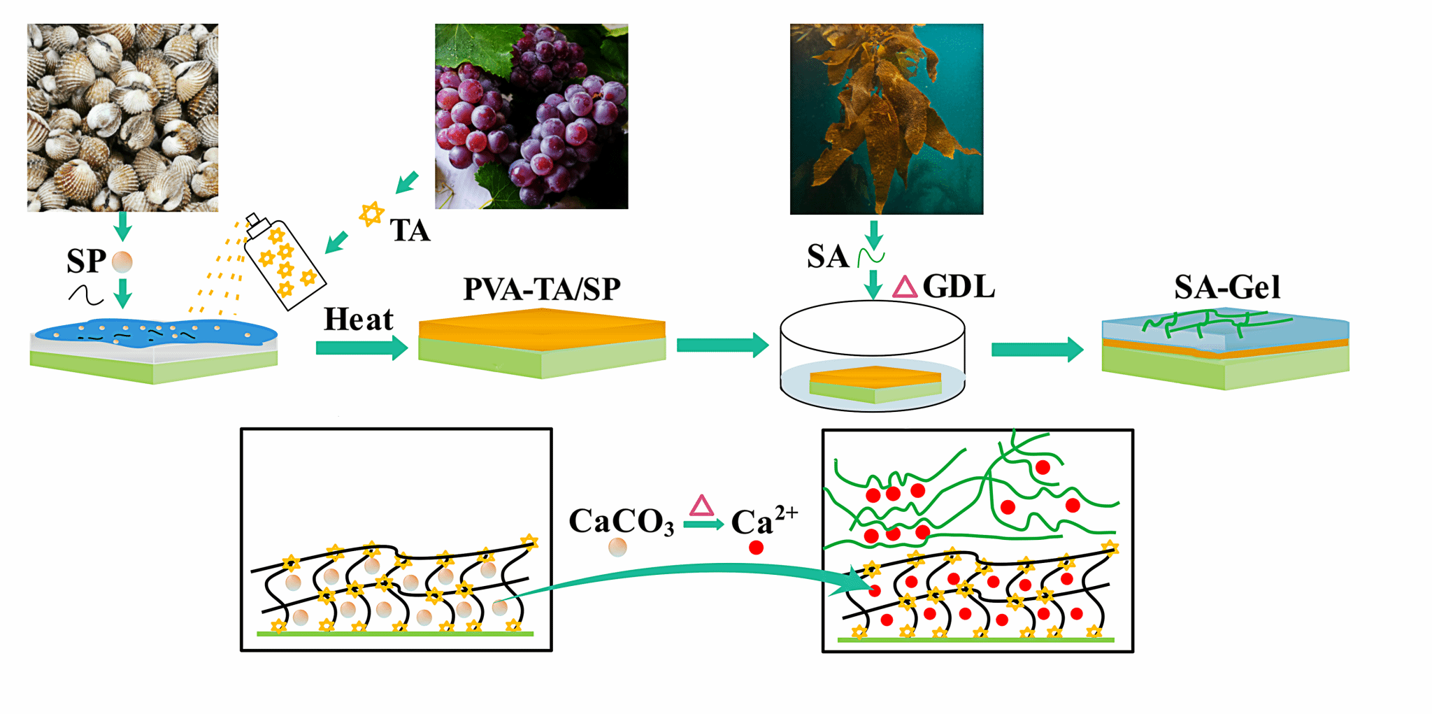 DE8662FFCDEE63F2E3FC1438DAC_72168448_37FE2