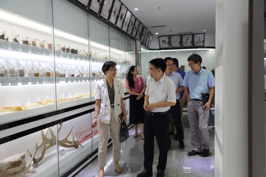 85449804AF0895DDB626E4C6108_E2DD9966_140C1