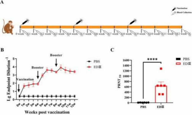9A0A09F020C80D7C5796058730E_243E5E66_C7CD