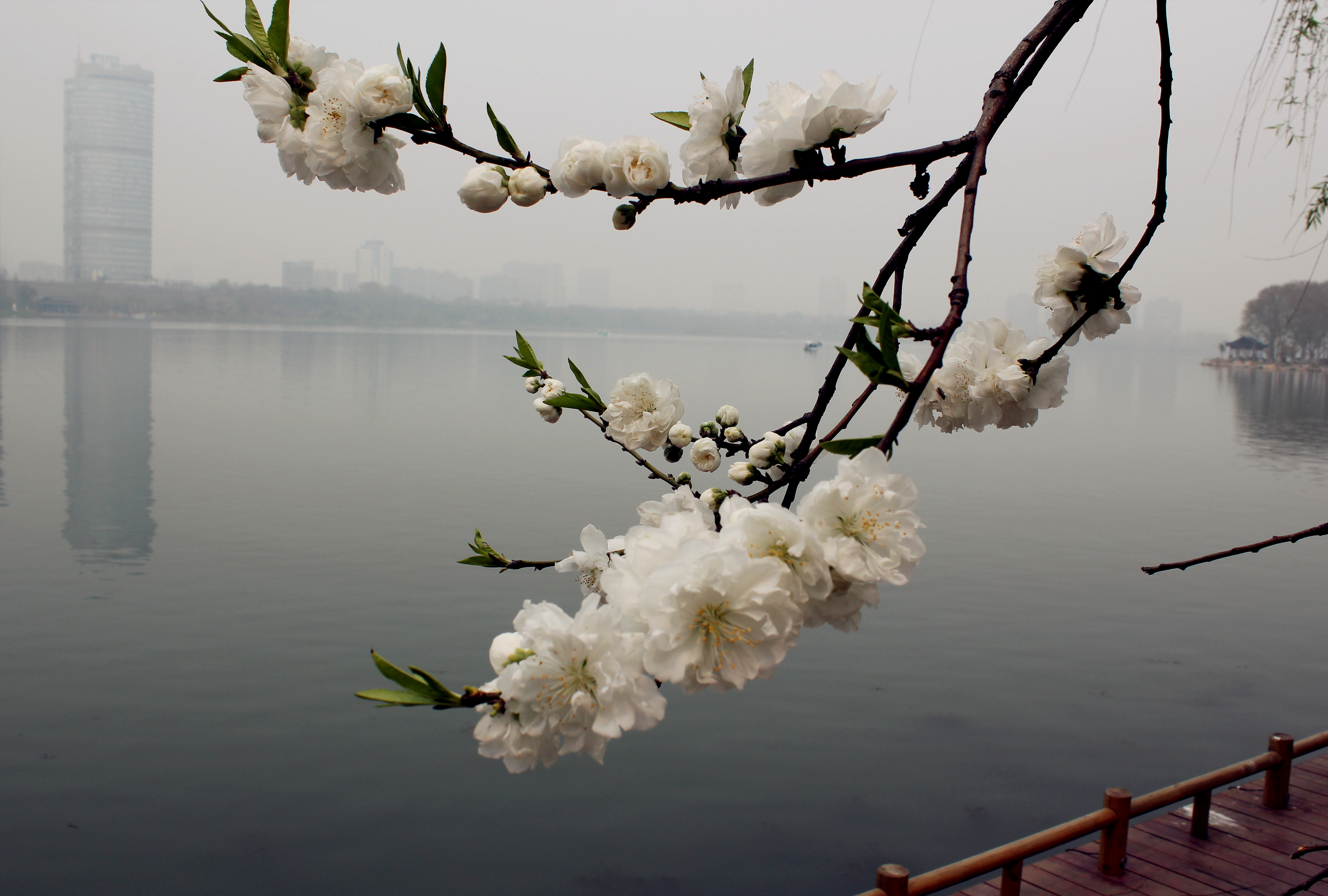 4E3BC7A60844B6EED227879FD8F_843AB1F7_26357E.jpg?e=