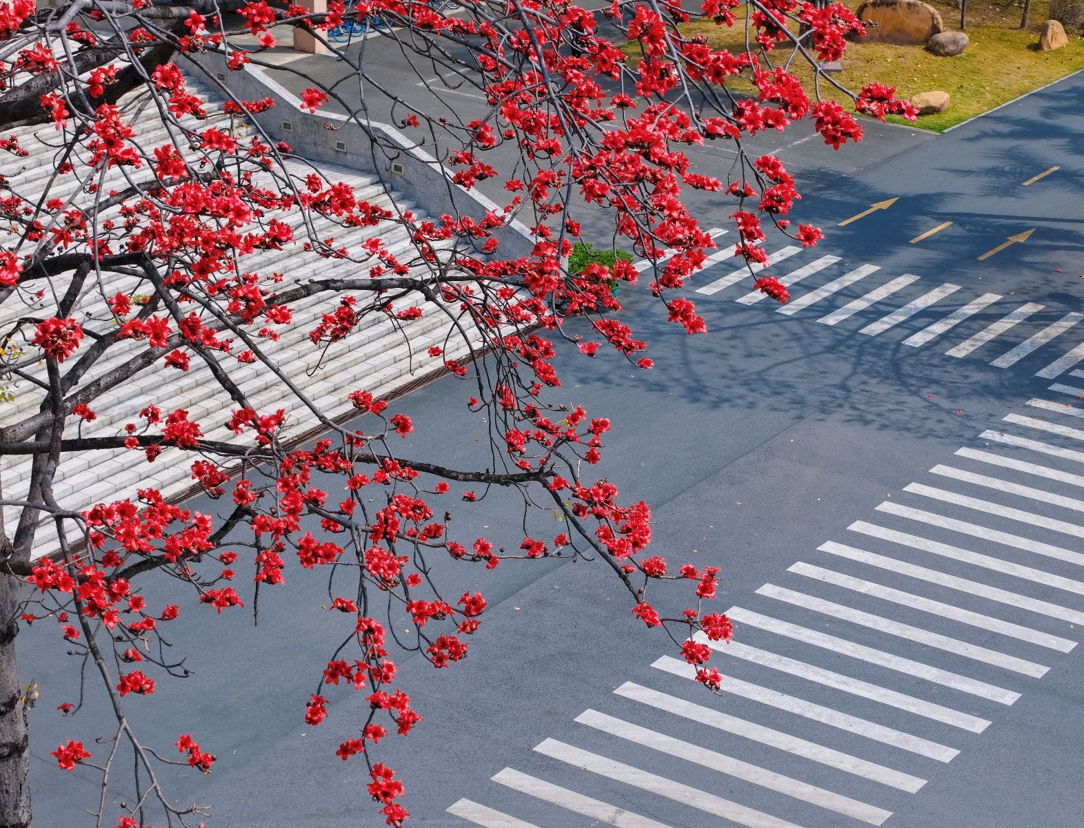 Ҽ������app����(�й�)�ٷ�������