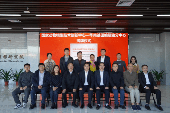 8AFE0C490E529B41DE2903F2381_CE067837_187F3 8AFE0C490E529B41DE2903F2381_CE067837_187F3