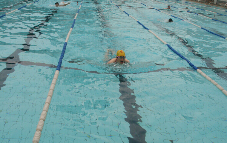 Ҽ������app����(�й�)�ٷ�������