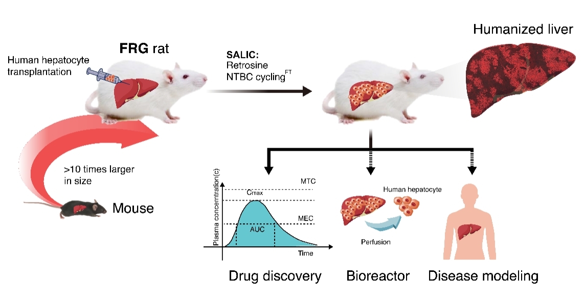 27577464EEEDDBDE9B82C1DDDAE_DB62FD2B_3028B 27577464EEEDDBDE9B82C1DDDAE_DB62FD2B_3028B