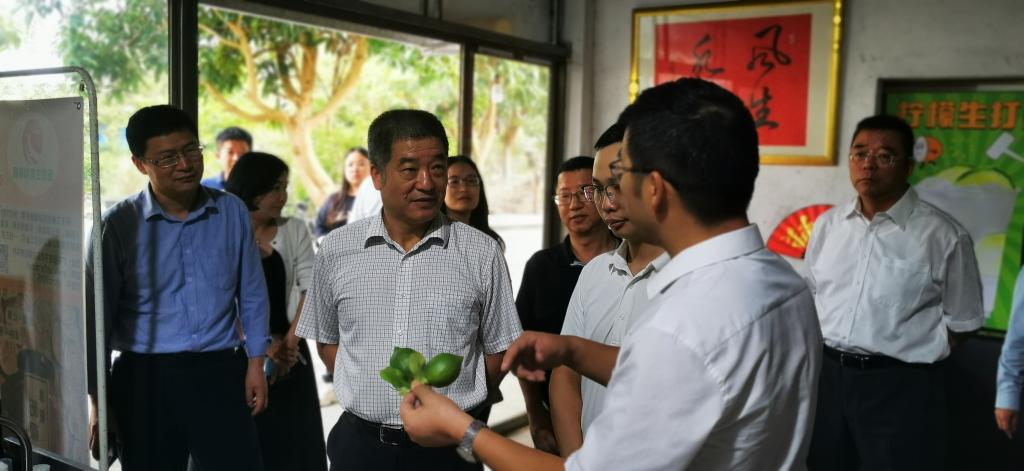 3A3228D08412951247FFC2274E4_1E1D0A88_10109