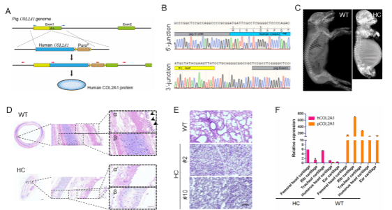 3A76A3A91AA9F50EE34C08F5802_D7D6F659_AC9B 3A76A3A91AA9F50EE34C08F5802_D7D6F659_AC9B