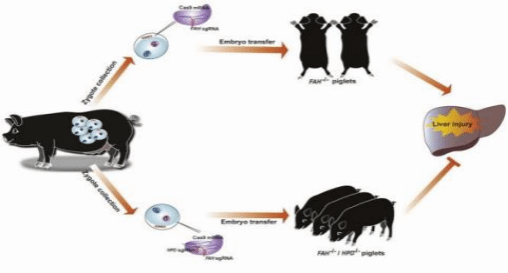 5481C1BA31EE3AA4B838413DE1A_5C49C50D_7AD0