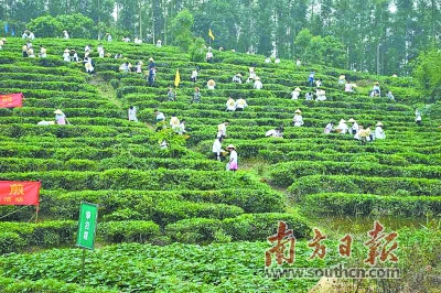 3CBC7A4418105100895CD1D0477_DFAAD6BE_28719