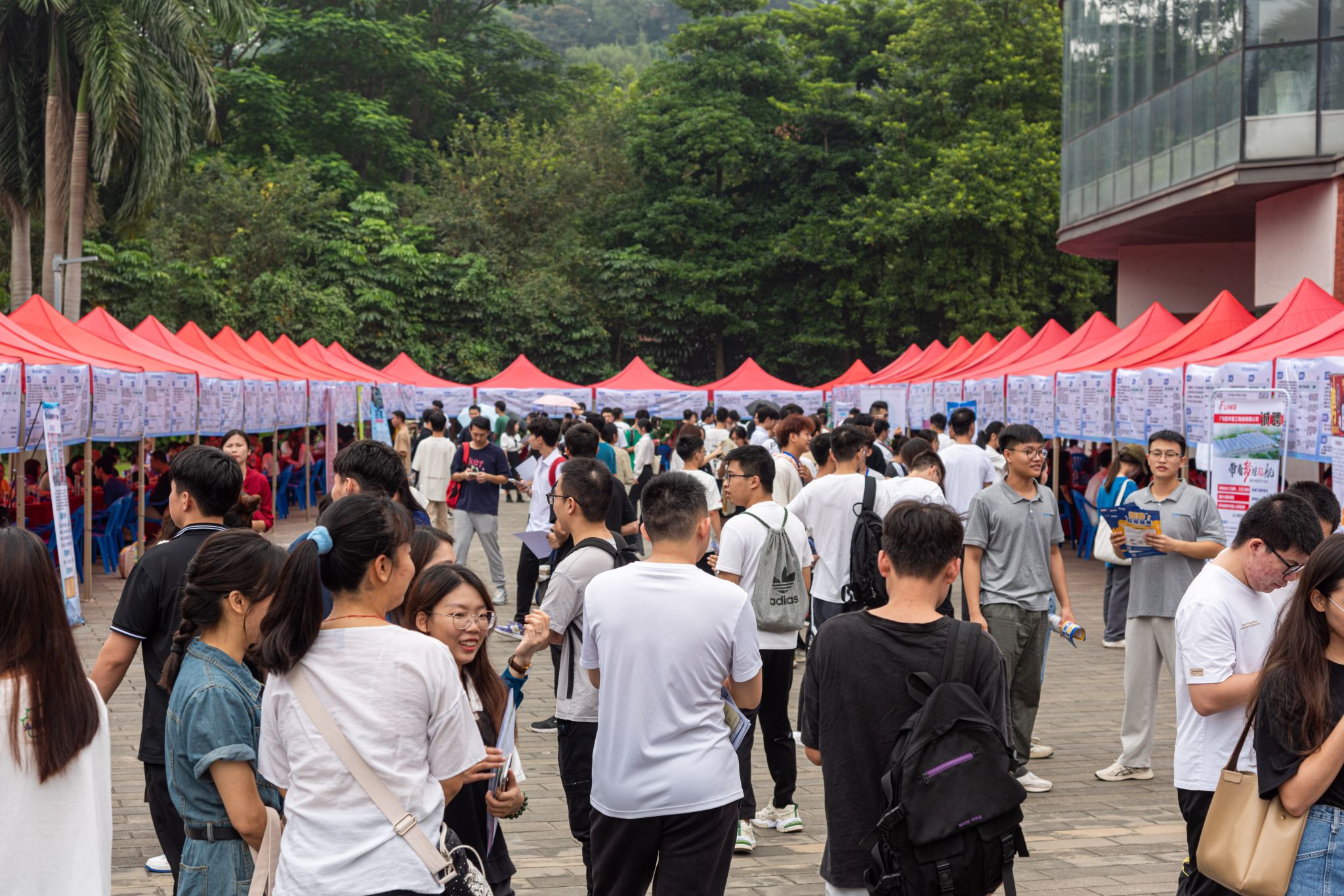 69CC646756D65E048E47B2CA679_4E123045_70955