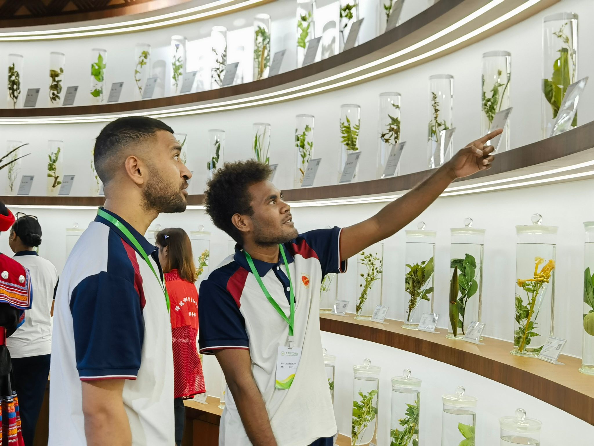 976A764134D9D61C400BA40AD54_1995FA06_55B33