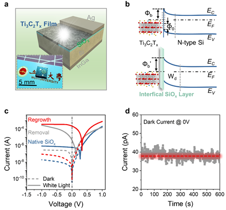 331DFE689841ECC8F7A82B744BE_2FAAE16D_1B7D0