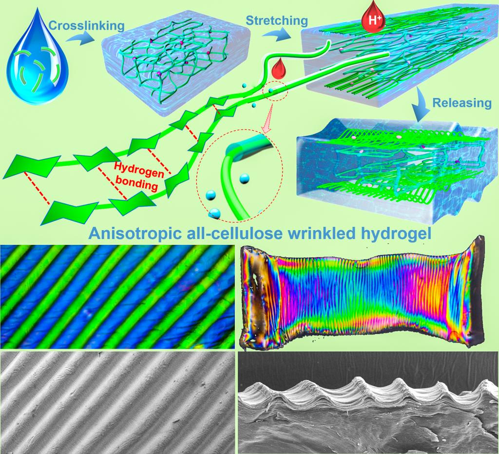 CF8A5ABBEE7168043A75F8E5F1E_8A4FD184_2E511 CF8A5ABBEE7168043A75F8E5F1E_8A4FD184_2E511