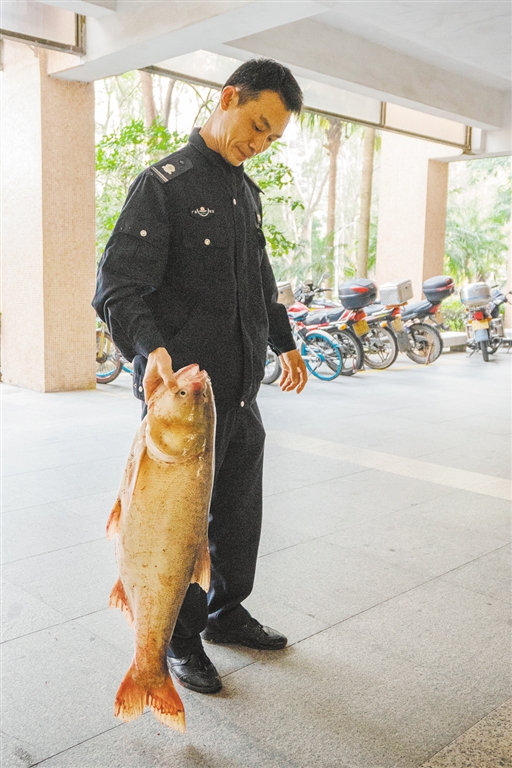 1D60FCD829D63E20156CC4EAC80_8B179A7E_4E675