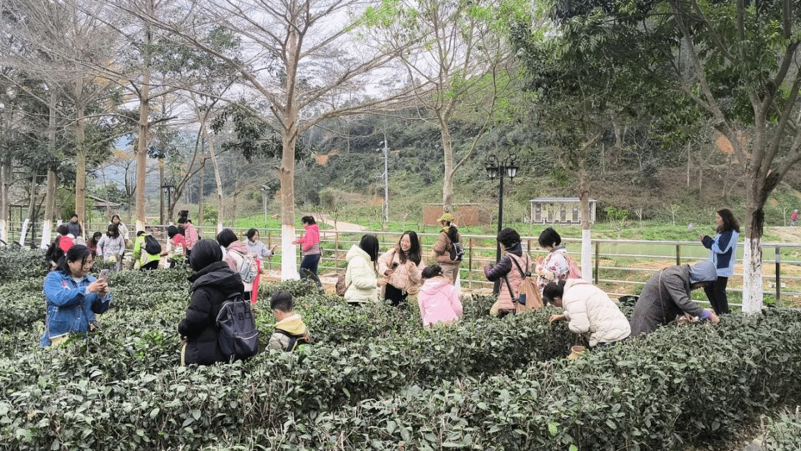 4A115D17099FA44AC6AC9313BC6_AF2A83C8_954E5 4A115D17099FA44AC6AC9313BC6_AF2A83C8_954E5