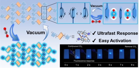 F6D5ACE140F7D5D0706BA9FF047_8ED0E038_1454A