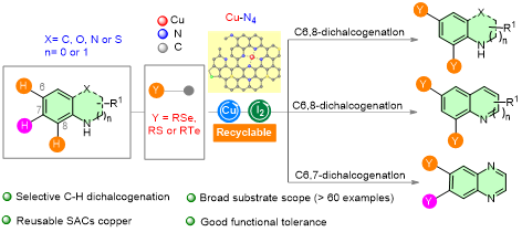 A80414ACDDE46A4B812BB9B224E_EEA2F8CA_868E