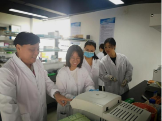 A5F0E80C110E79EB2FC4B68C4E9_5AA4819B_4A1B4