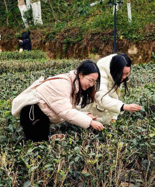 F12B2AEFF5884A7BBCD11B0AD75_829344B2_3C4B7 F12B2AEFF5884A7BBCD11B0AD75_829344B2_3C4B7