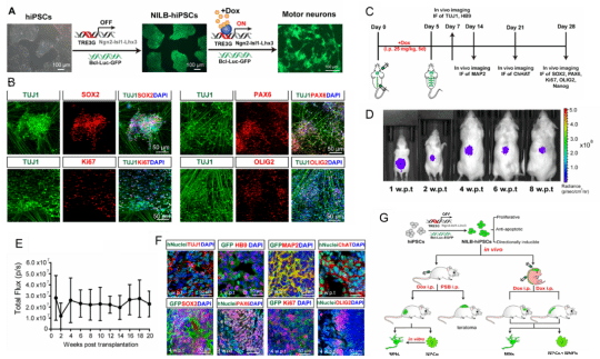 D87532F748A89F5359F7E98D6DE_86D8FE5E_FC25