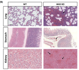 22DEFD41C4F99F0FC0F188680BC_8F0012B6_3BC20