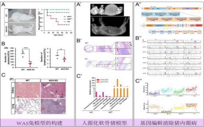 96D70E261AA91599DE6A0E1A6BA_5E3C104D_1C803