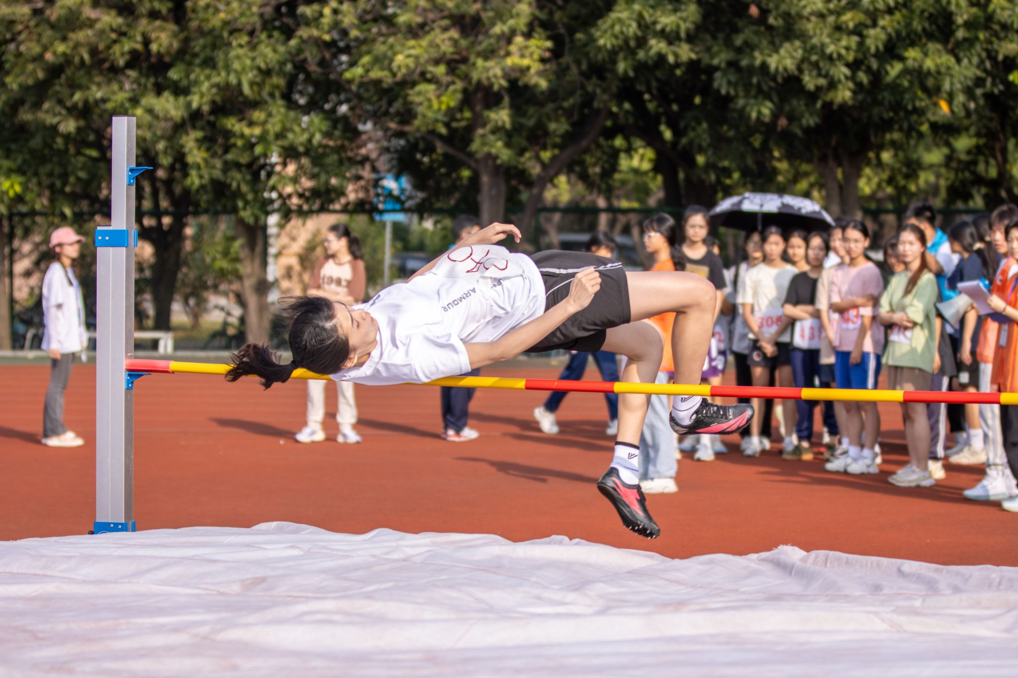 3046B43744BE6D0D556474B6643_0726B17C_4A79A