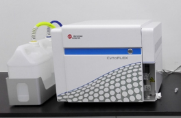 F06449B5B36264186BA3493B7A5_951631B5_2CBC7