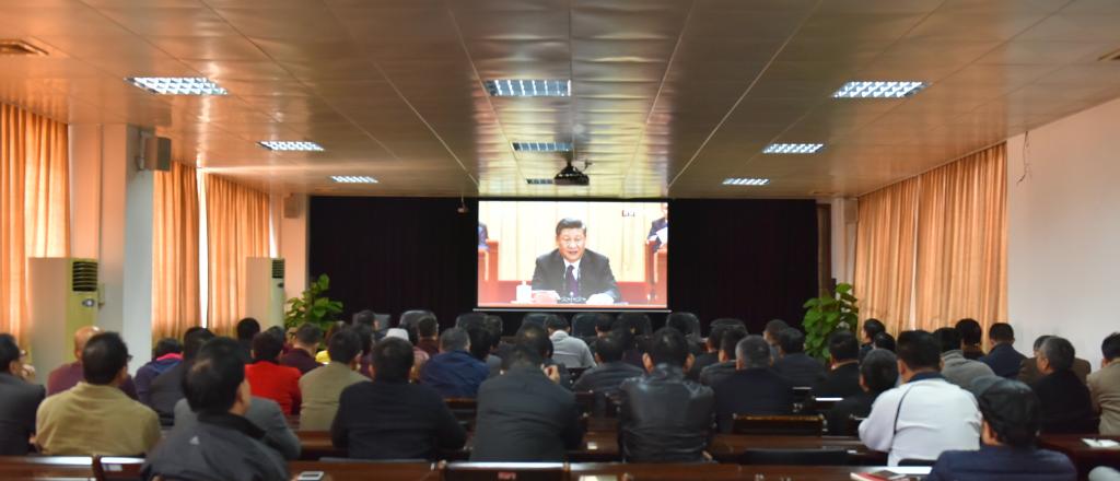 AF7169DACBBC3CE33ABCA7E4899_0DCFB5B9_CE91