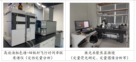 33093BD2306BABEB30925155706_62AB7DAF_132F8