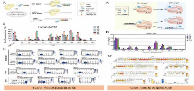 B0B5B71217FA4E8B41CF5347B39_C1BC8C0D_16E80