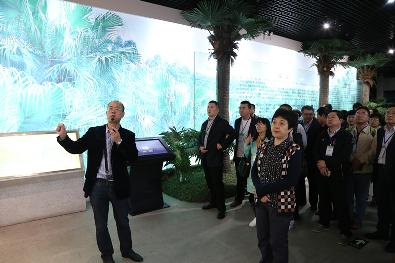 2B8F6D419B8CFA8CE5E05540DD0_4B4F79E7_278A8.jpg?e=