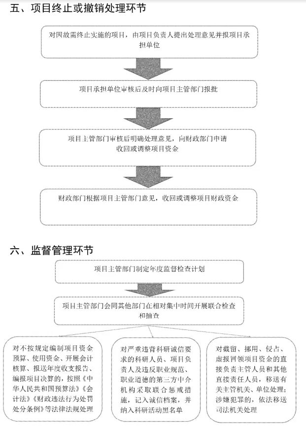 61308FE1D65A566DA9764723A5B_1230E2D5_13255