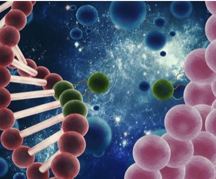 �������о��������Ŷ�