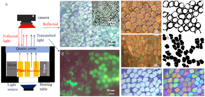 24D0D1128A5608B5CD13F9AE708_AB3D71AF_DECAD