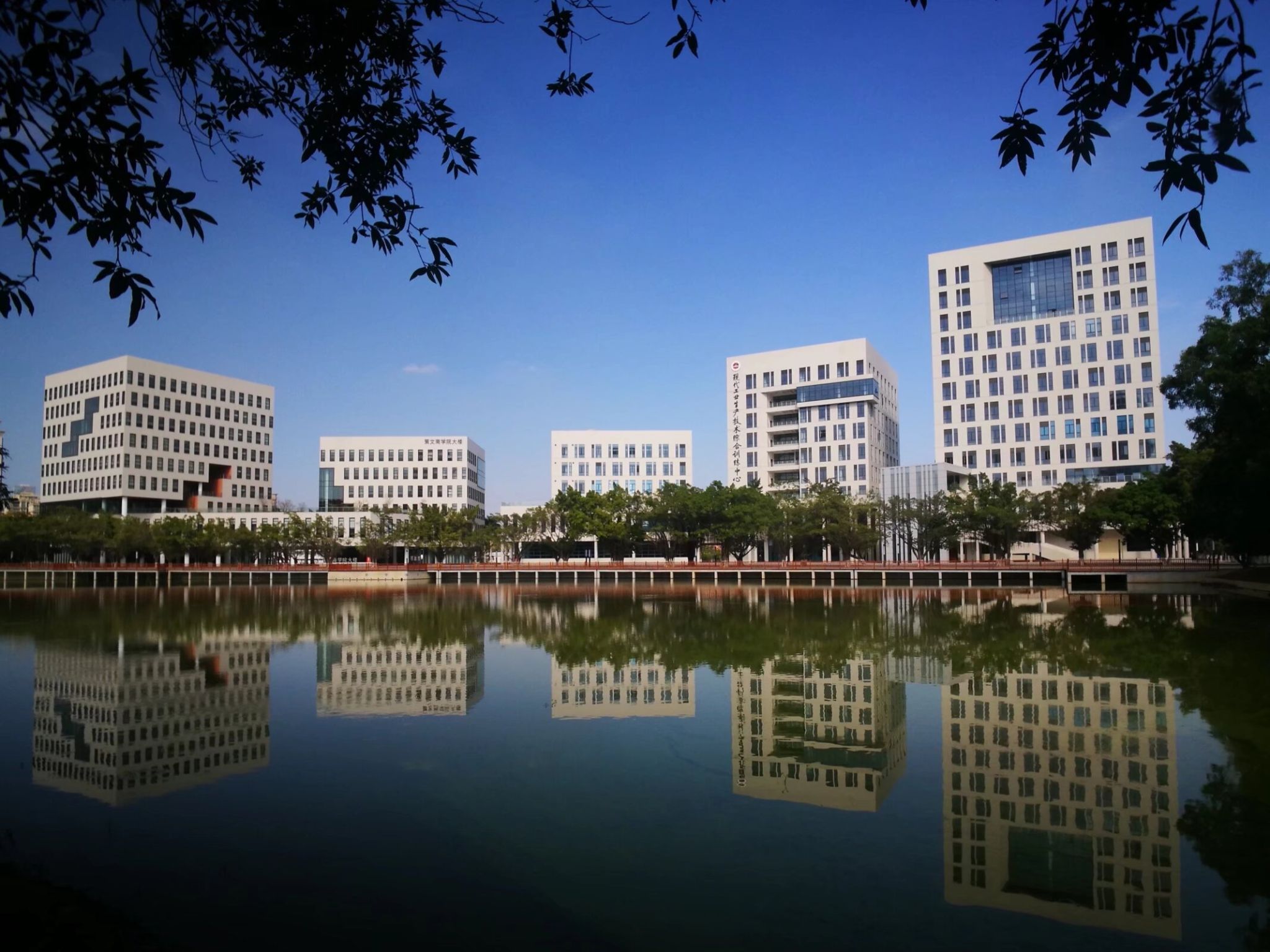 Ҽ������app����(�й�)�ٷ�������