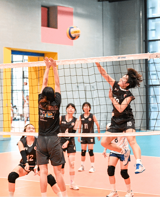 Ҽ������app����(�й�)�ٷ�������