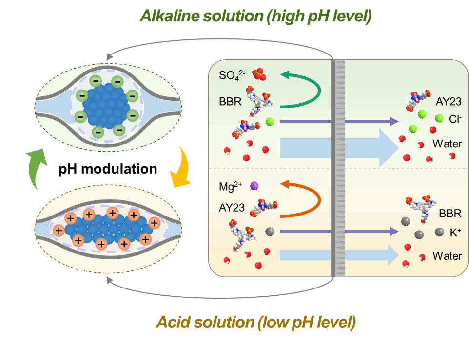 603D6E5B564879E4D29BE8D55C3_E7C1A3E0_EBBA 603D6E5B564879E4D29BE8D55C3_E7C1A3E0_EBBA