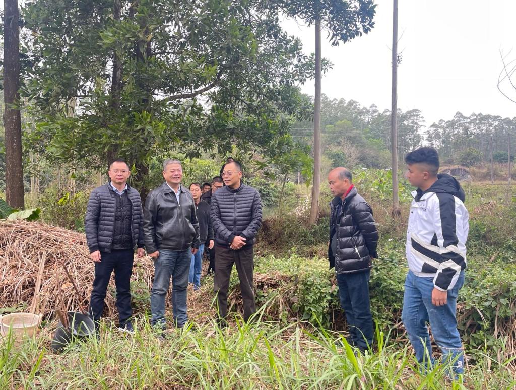 B612C1E42E0E3906E0DC60DBC43_DC12B3F5_36677