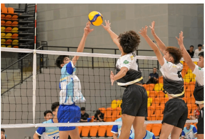 43BE7F63BB3857237DB7A39C182_54C37FA5_28B68