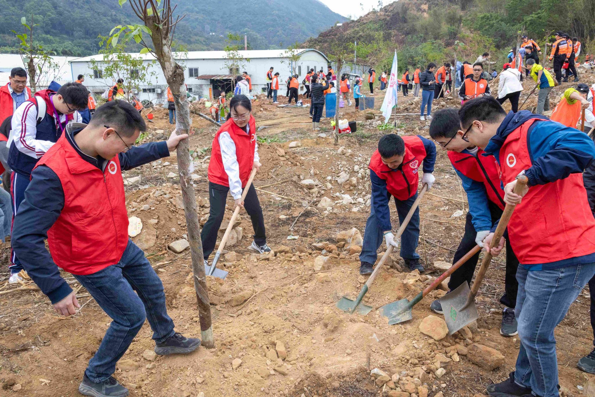 3FDE468A4680267C9F0DD3C74EA_4773A1CD_AF45E