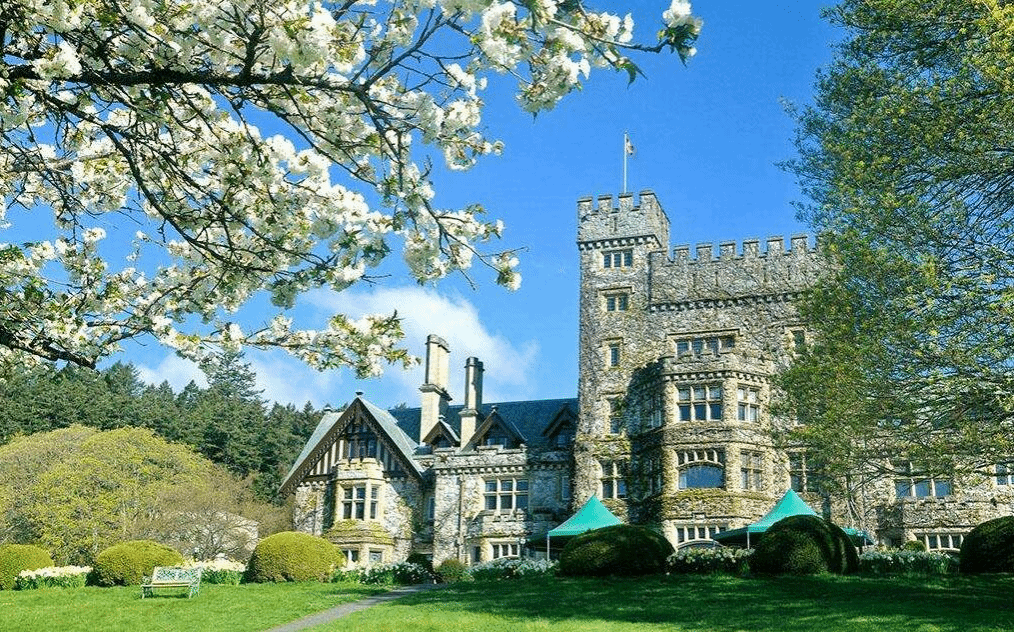 0CAD259D1038DC1F4DED5C1D7C3_E44EACC7_78329 0CAD259D1038DC1F4DED5C1D7C3_E44EACC7_78329