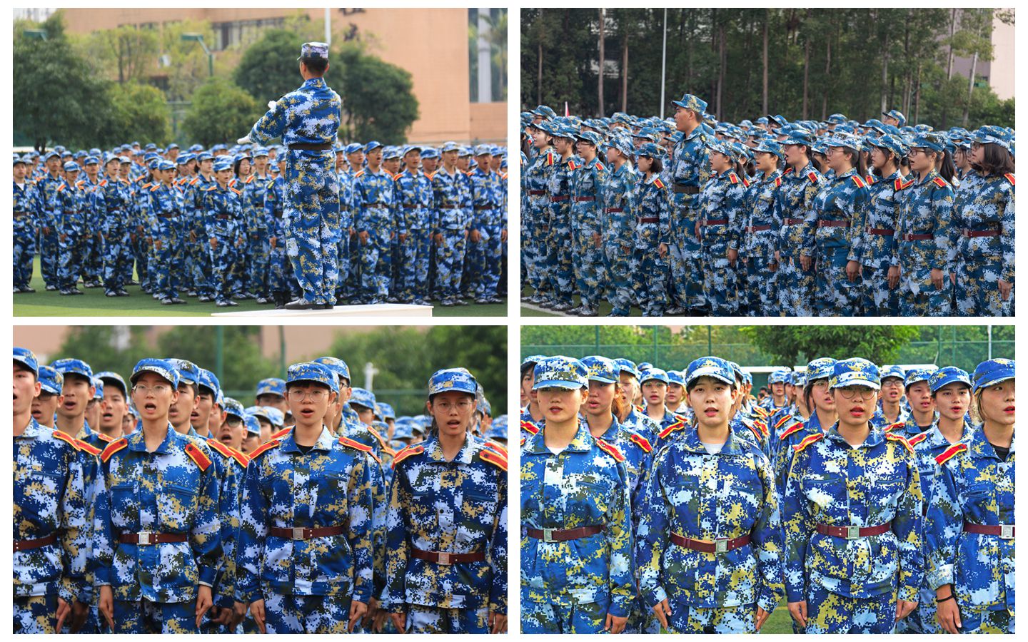 0F3B334B92E04DEAE97266C9036_6C17E3A7_65FE6