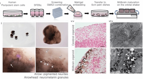 D92A98CCCB2E62BC2BAEEAA7E06_EFA1272A_104D3 D92A98CCCB2E62BC2BAEEAA7E06_EFA1272A_104D3