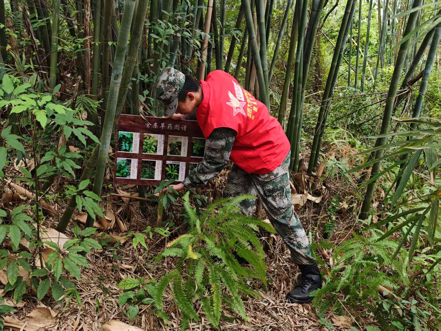 B68AB0DA6F5C46CC4F80A6D148D_38906A24_9928D