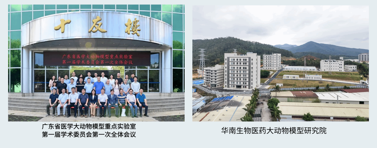 B21D2675CD34DFBC6F18350C2F3_F7FE424F_3CD41 B21D2675CD34DFBC6F18350C2F3_F7FE424F_3CD41